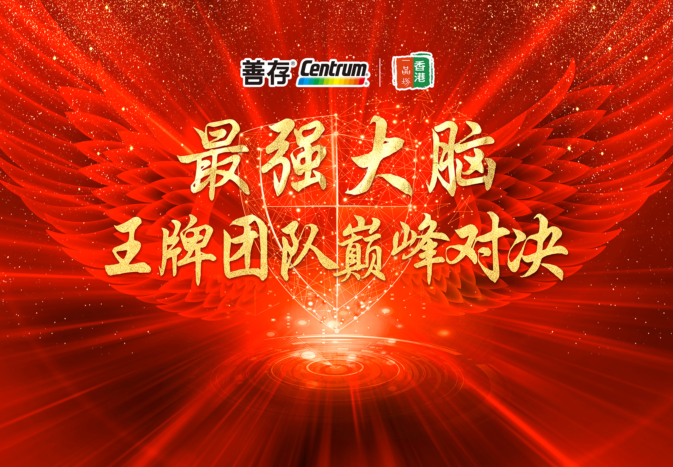 善存王牌對王牌450x300cm(已加20cm包邊.jpg
